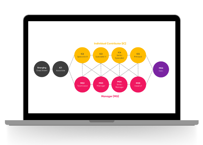 The Ultimate Career Framework Template